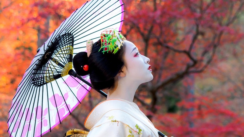 Клёны в Японии (Момидзигари), осень 2023